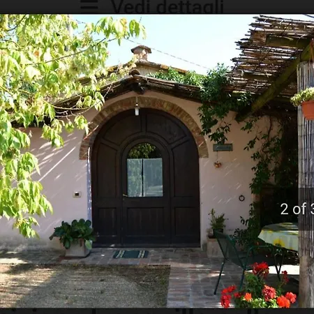 Gabolina E Turata * Cortona